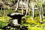 Chris Rowthorn Tours - private Kyoto and Japan tours